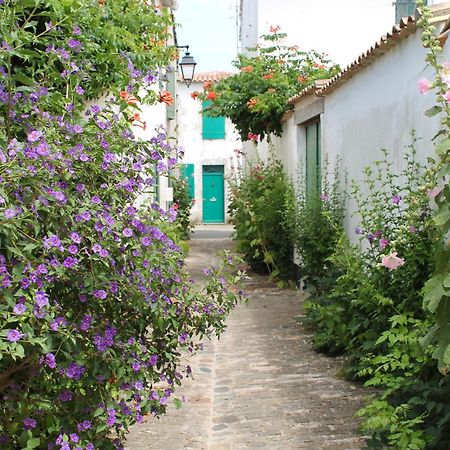 Le Clos Des Vieux Moulins La Flotte Exterior foto