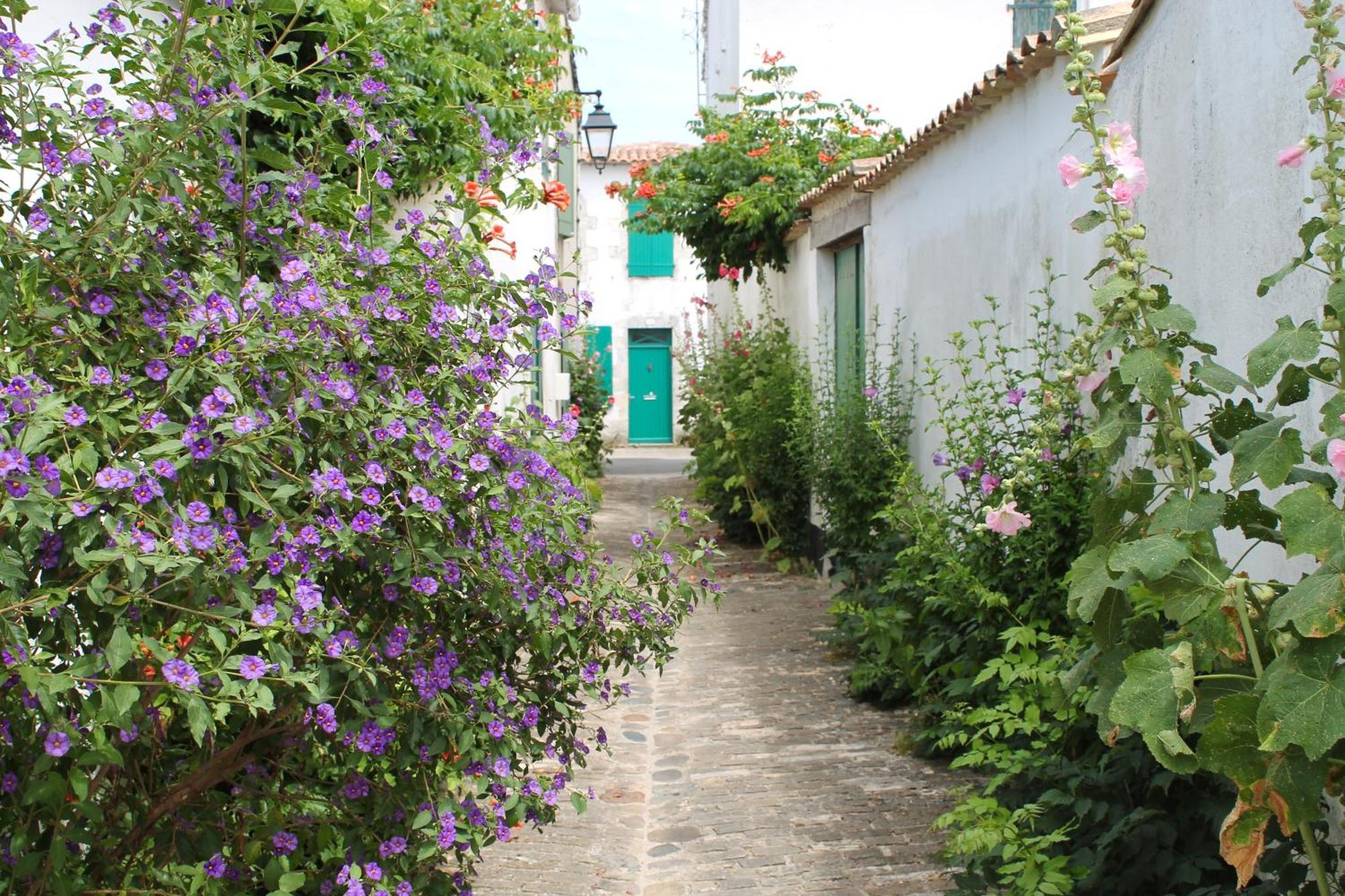 Le Clos Des Vieux Moulins La Flotte Exterior foto